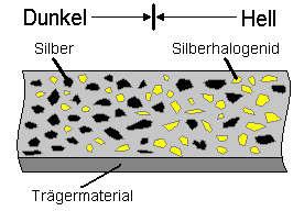 SW-Entwicklung