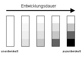 SW-Entwicklung